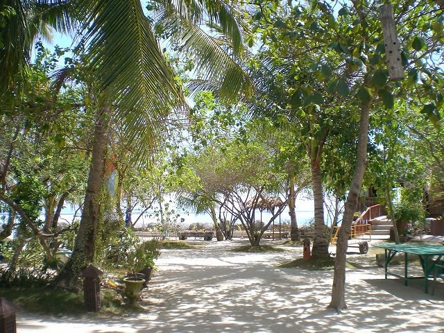 a0059315_22472837.jpg