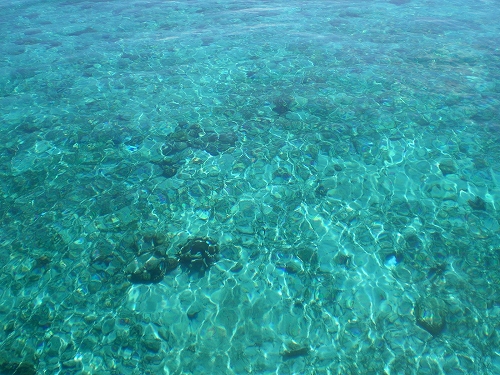 a0059315_22483265.jpg