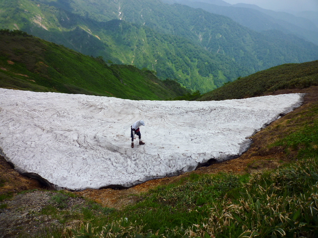 d0170615_18024.jpg