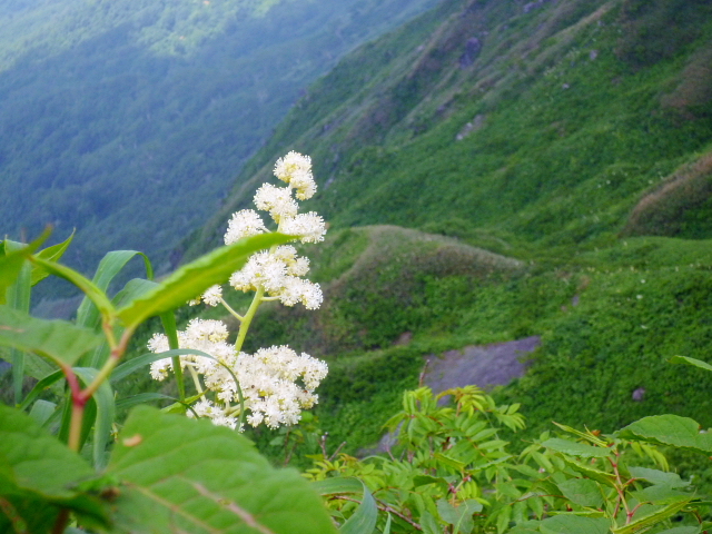 d0170615_1812627.jpg