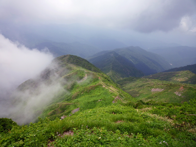 d0170615_1824632.jpg