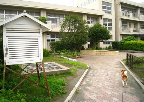c0084117_21102166.jpg