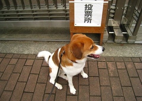 c0084117_2164677.jpg