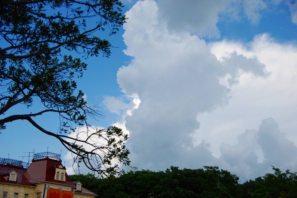 d0109428_1116599.jpg