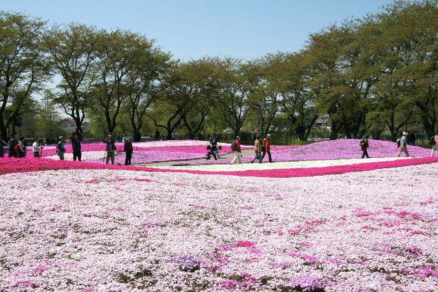 e0064133_046878.jpg