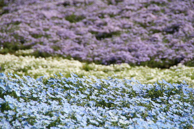 e0064133_0472138.jpg