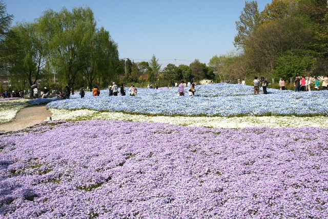 e0064133_047276.jpg