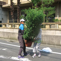 d0033734_15121290.jpg