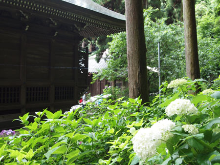 c0024135_159784.jpg