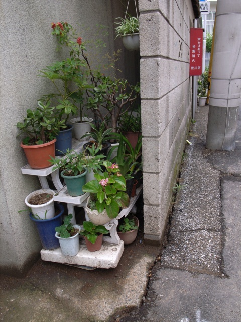 a0087341_1945977.jpg