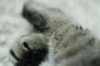 c0214345_1292152.jpg
