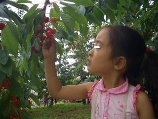 a0072146_5301874.jpg