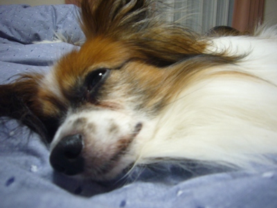 e0100046_20304816.jpg