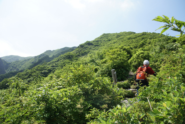 f0214649_4401626.jpg