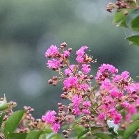 a0166851_2252498.jpg