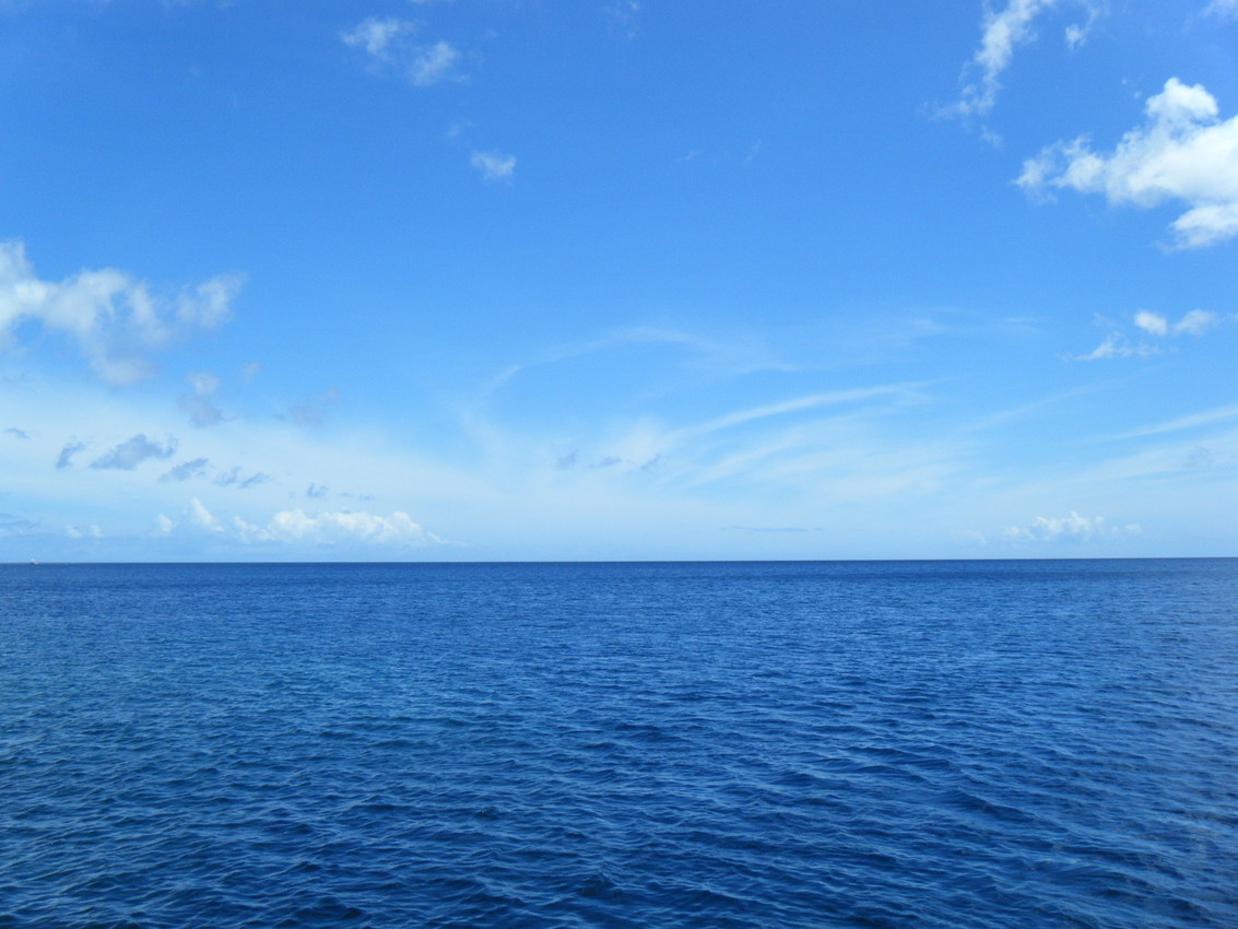 e0134752_910403.jpg