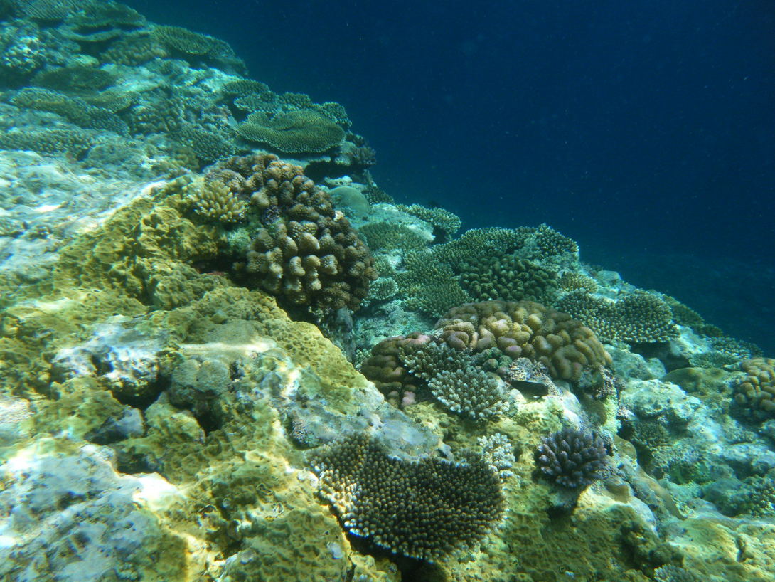e0134752_9134165.jpg
