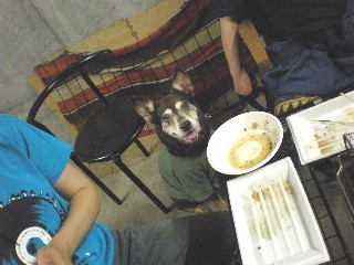 d0006253_09050.jpg
