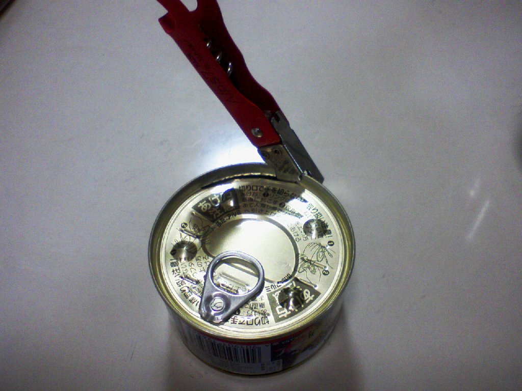 e0110055_1230236.jpg