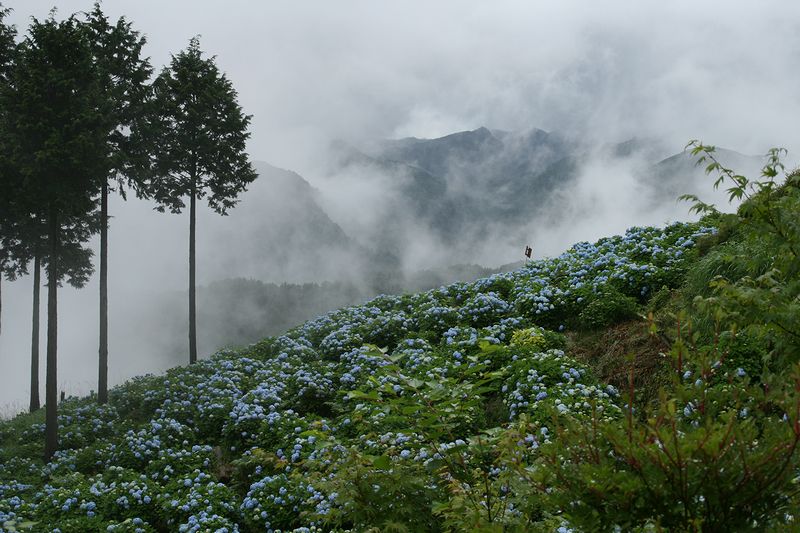 a0111756_2057595.jpg
