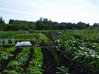 e0004756_21275753.jpg