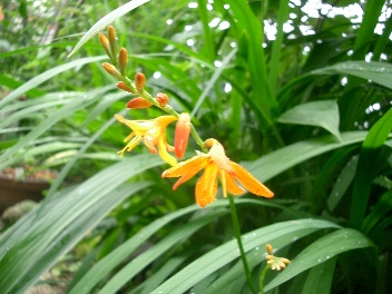 c0186463_17163750.jpg