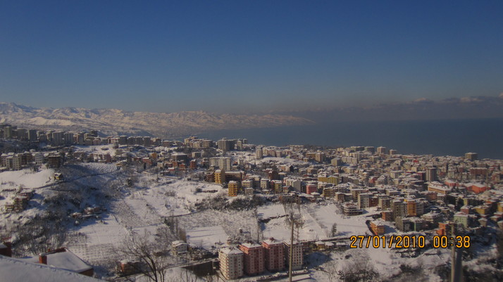 d0182063_54282.jpg