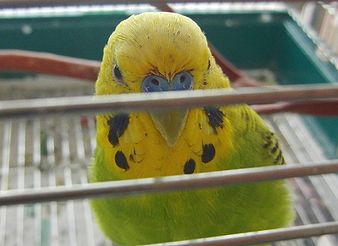 f0196665_016583.jpg