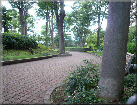 e0099375_21422610.jpg