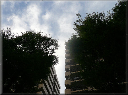 e0099375_2142940.jpg