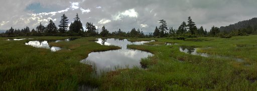 f0054075_21462844.jpg