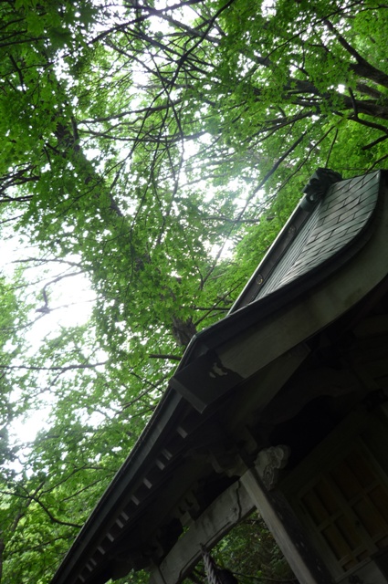 f0139282_18445630.jpg