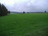 a0142083_13343475.jpg