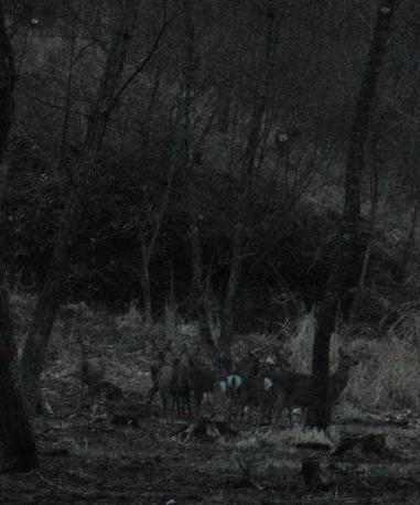 f0045283_19573184.jpg