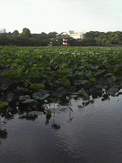 a0141884_23315686.jpg