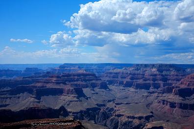 e0148185_4384910.jpg