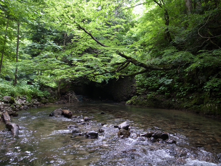 b0178889_22012100.jpg