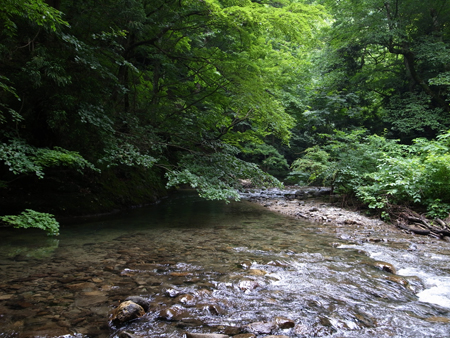 b0178889_22123557.jpg