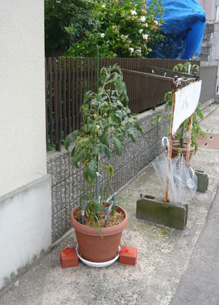 f0222692_13495352.jpg