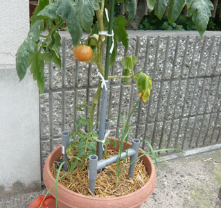f0222692_13501281.jpg