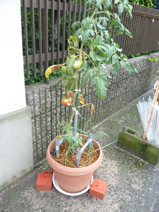 f0222692_13502422.jpg