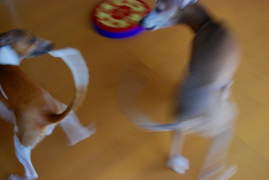 d0145798_2240122.jpg