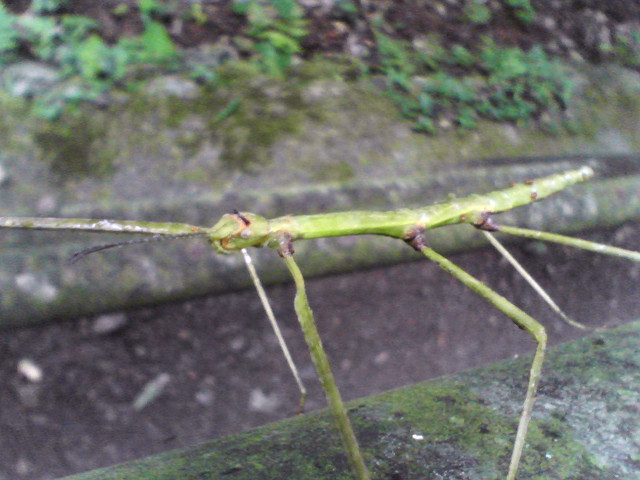 b0167999_15241428.jpg