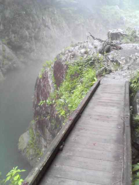 b0167999_1583336.jpg