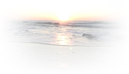 c0074000_2144761.jpg