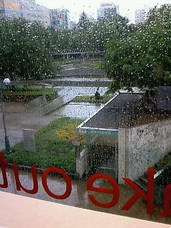 f0114900_149587.jpg