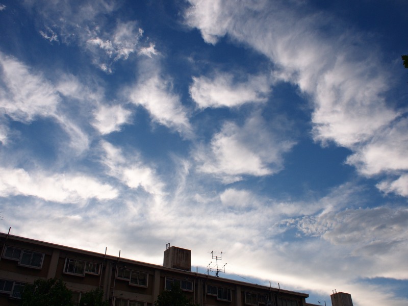 f0224100_7174760.jpg