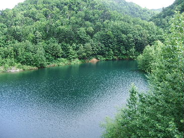 d0024504_2042205.jpg