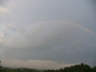 d0024504_21293272.jpg