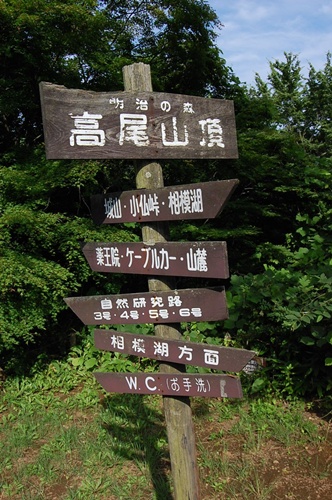d0133704_14365345.jpg